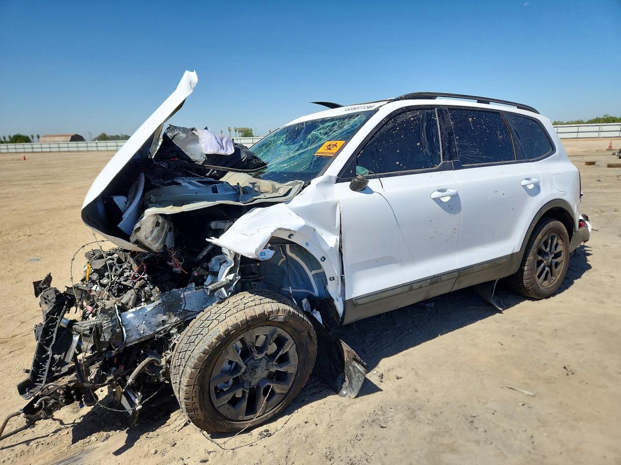 2025 KIA TELLURIDE SX-PRESTIGE X-PRO