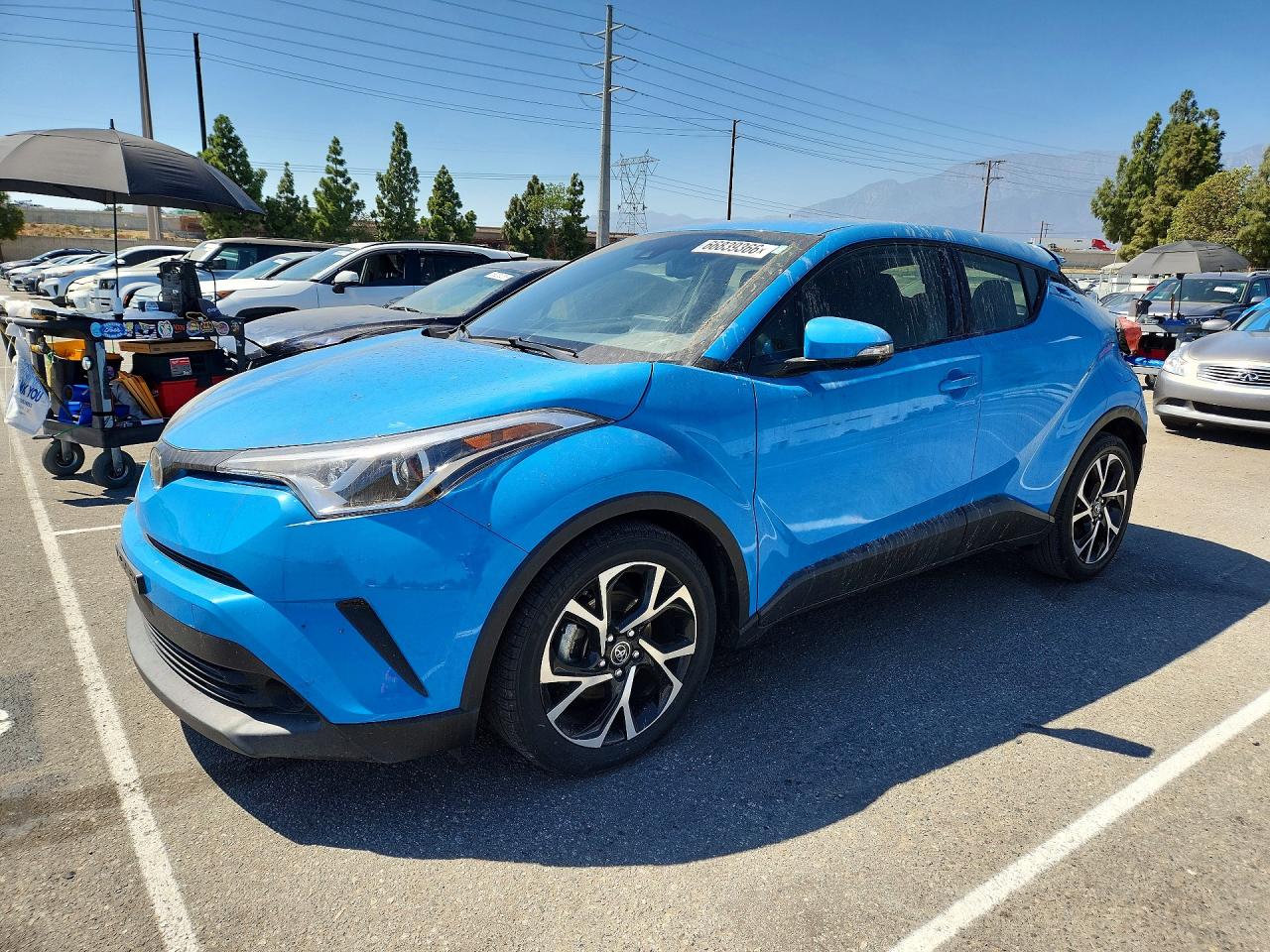 2019 TOYOTA C-HR XLE