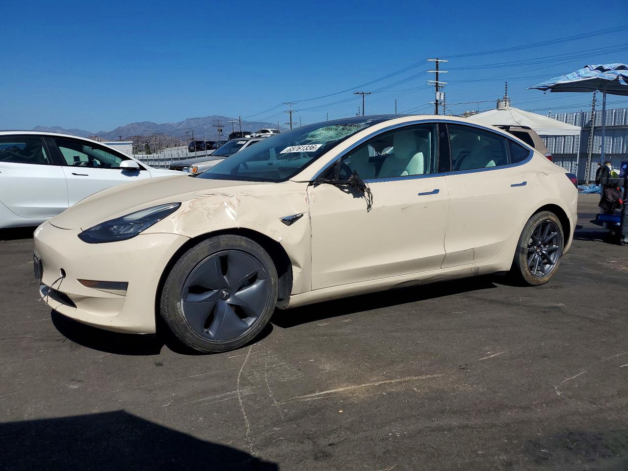 2019 TESLA MODEL 3