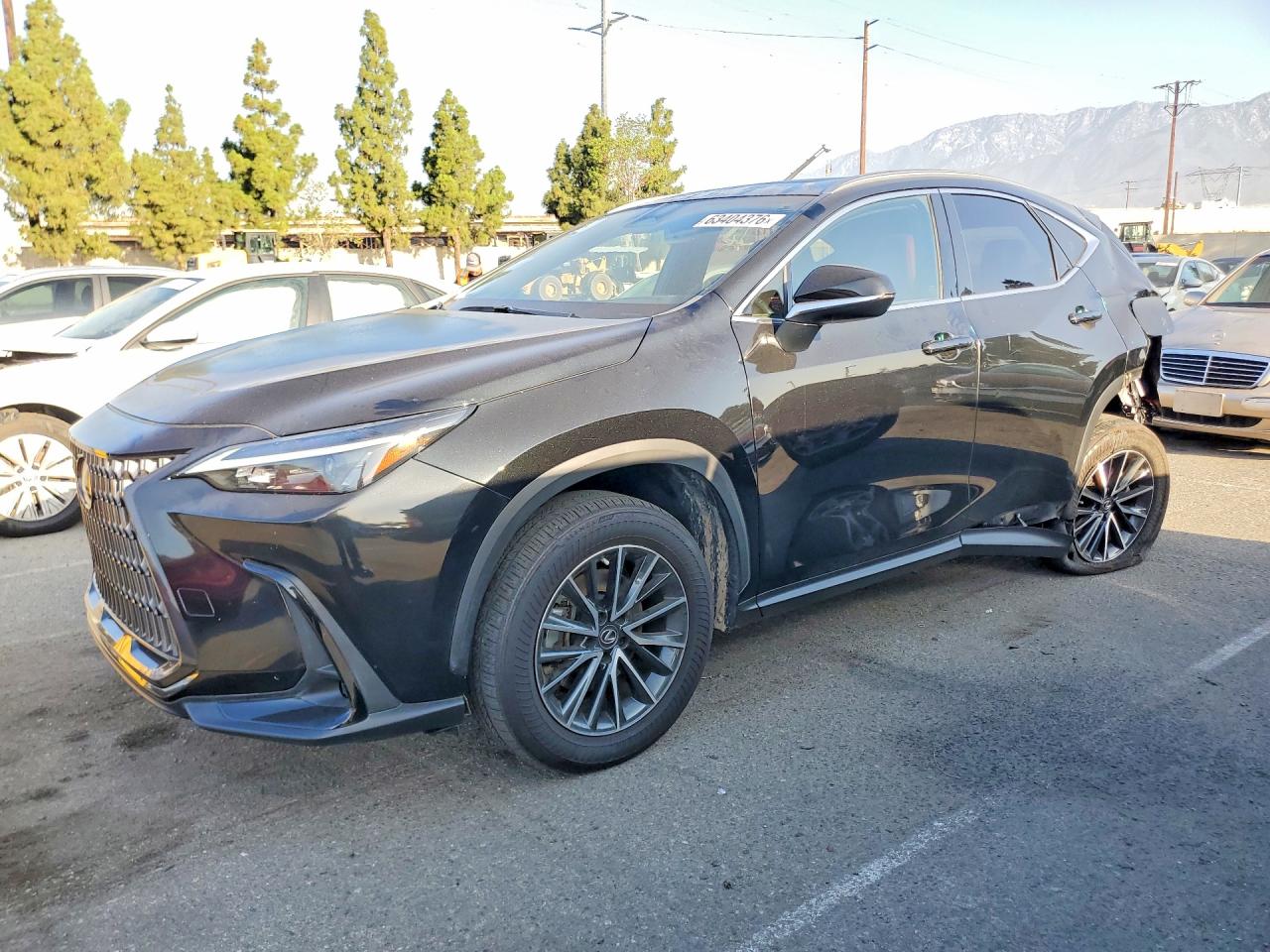 2023 LEXUS NX 350H