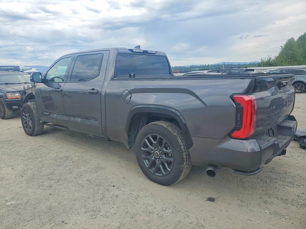 2023 TOYOTA TUNDRA PLATINUM — снимка 2