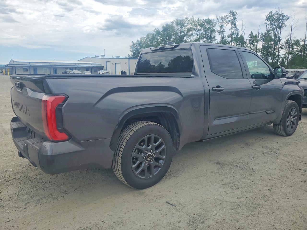 2023 TOYOTA TUNDRA PLATINUM — снимка 3