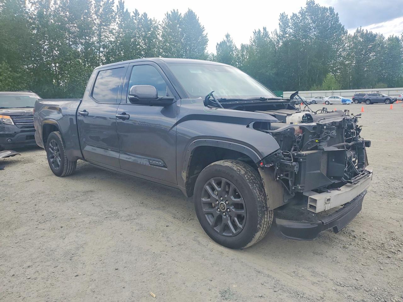 2023 TOYOTA TUNDRA PLATINUM — снимка 4