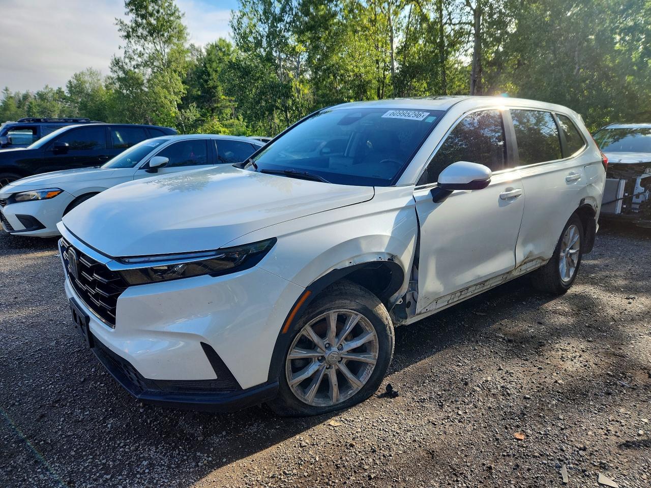 2023 HONDA CR-V EXL