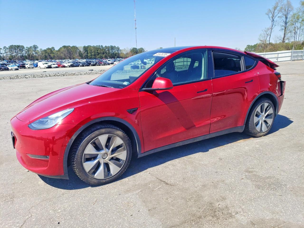 2021 TESLA MODEL Y