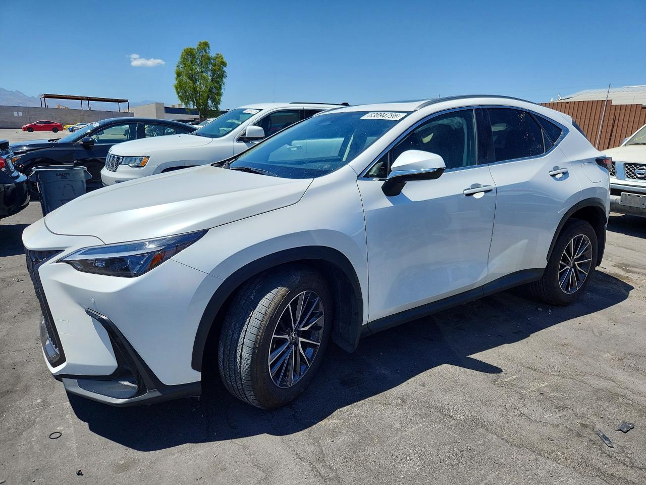 2025 LEXUS NX 350H PREMIUM