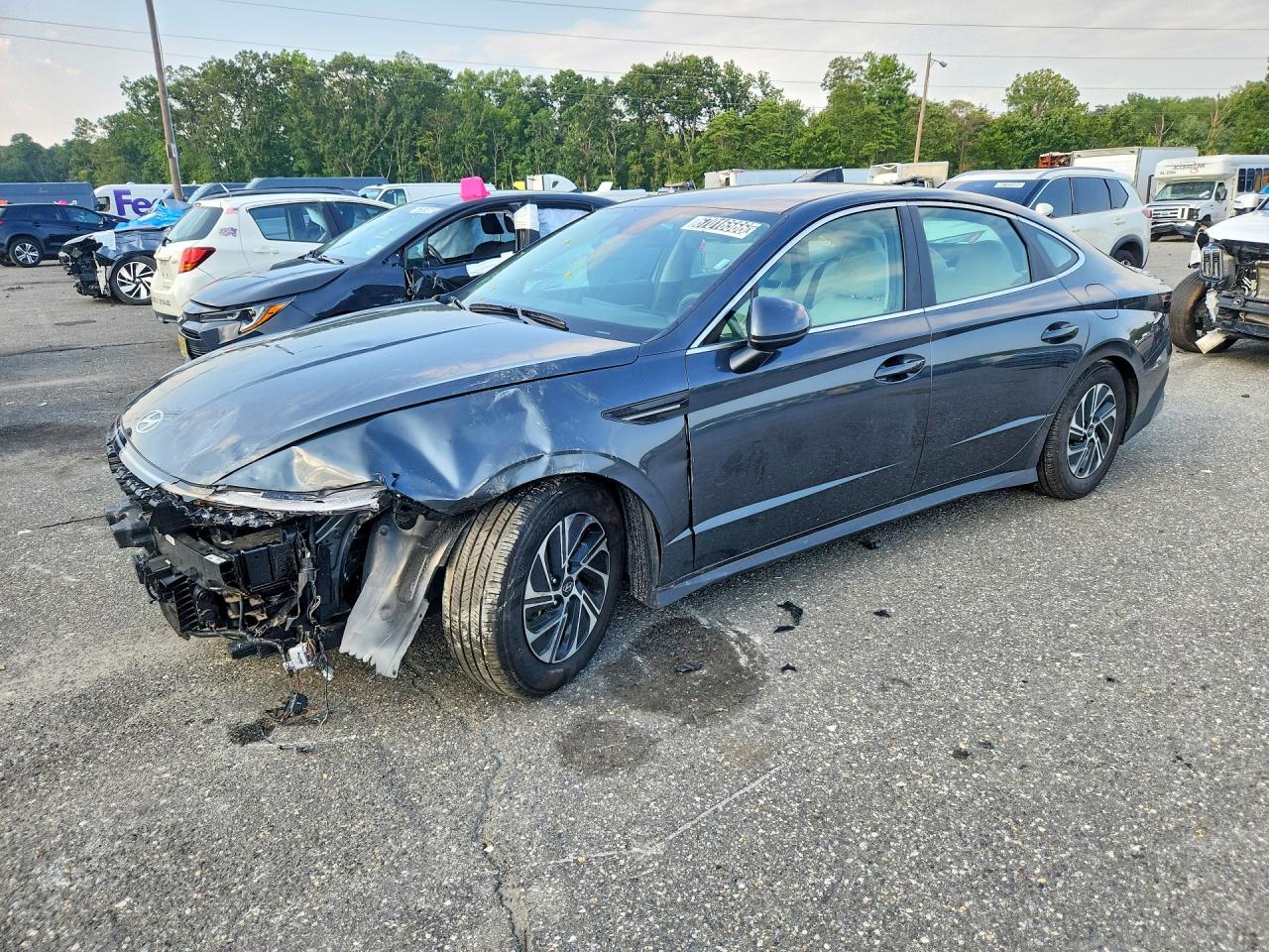 2026 HYUNDAI SONATA HYBRID BLUE