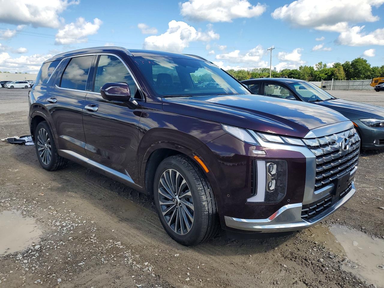 2024 HYUNDAI PALISADE CALLIGRAPHY — снимка 4
