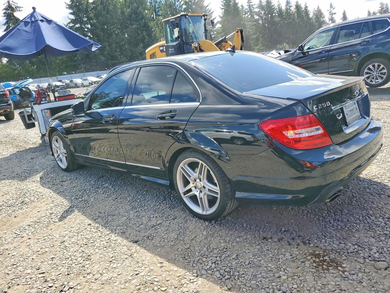 2014 MERCEDES-BENZ C 250 — снимка 2