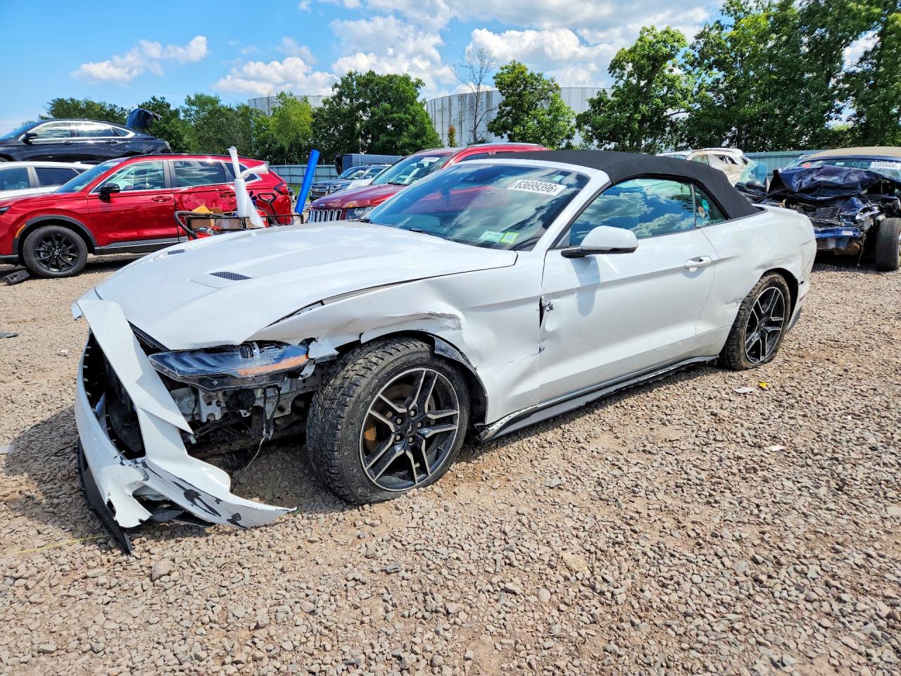 2019 FORD MUSTANG