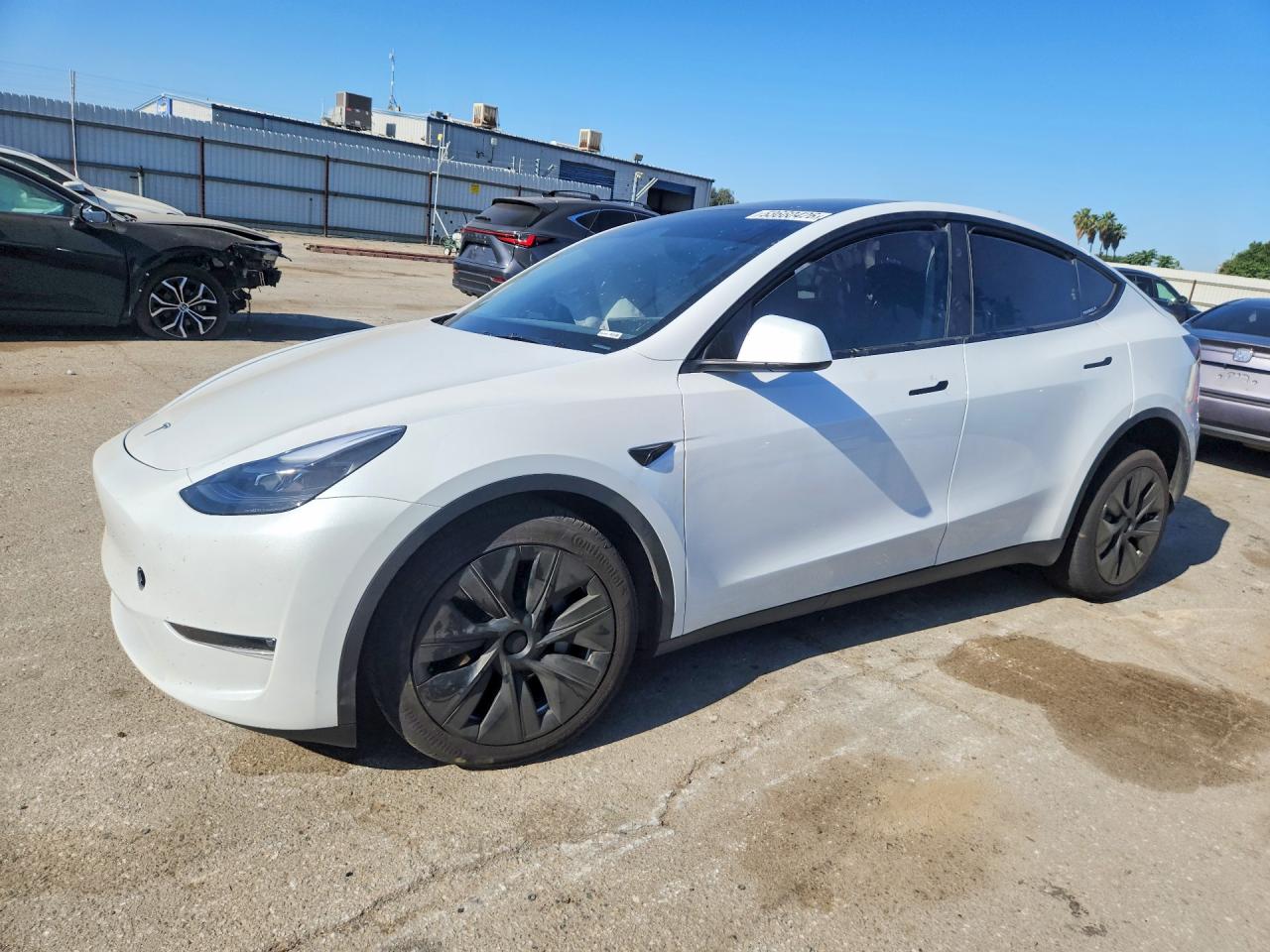 2024 TESLA MODEL Y