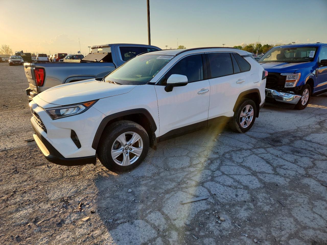 2019 TOYOTA RAV4 XLE