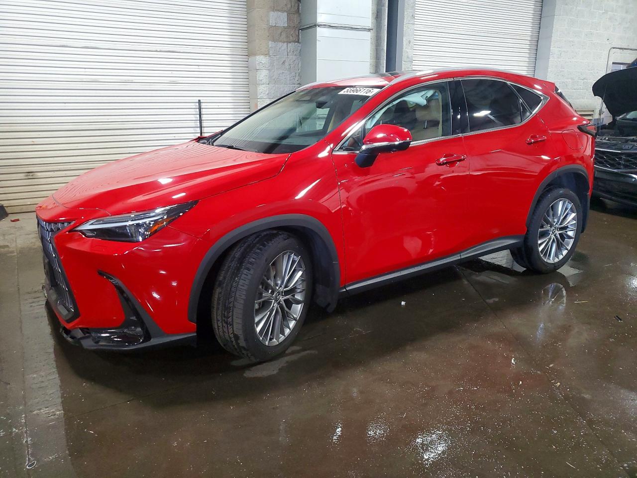 2024 LEXUS NX 350 LUXURY