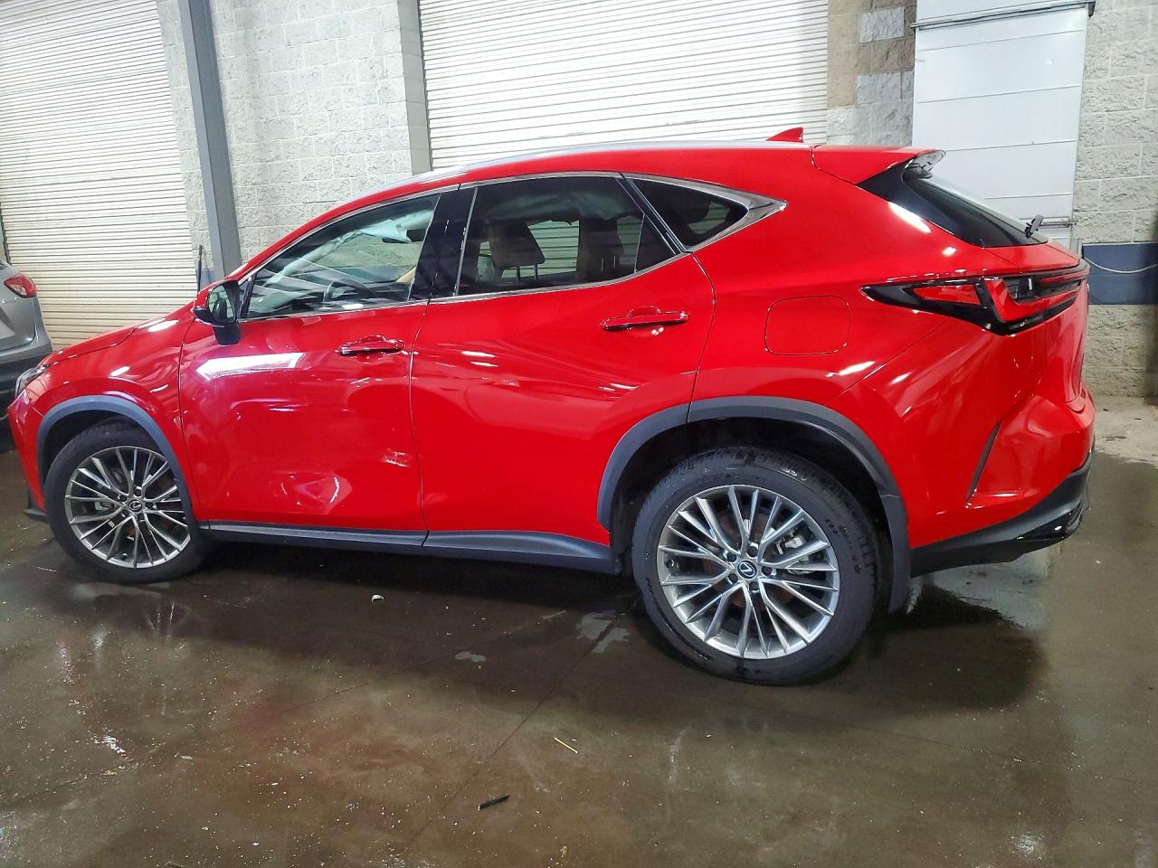 2024 LEXUS NX 350 LUXURY — снимка 2