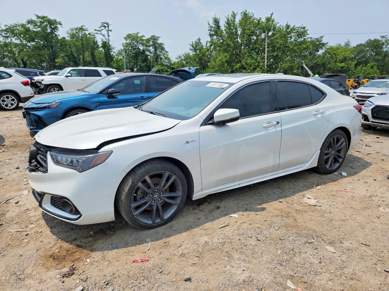 2019 ACURA TLX TECHNOLOGY/A-SPEC