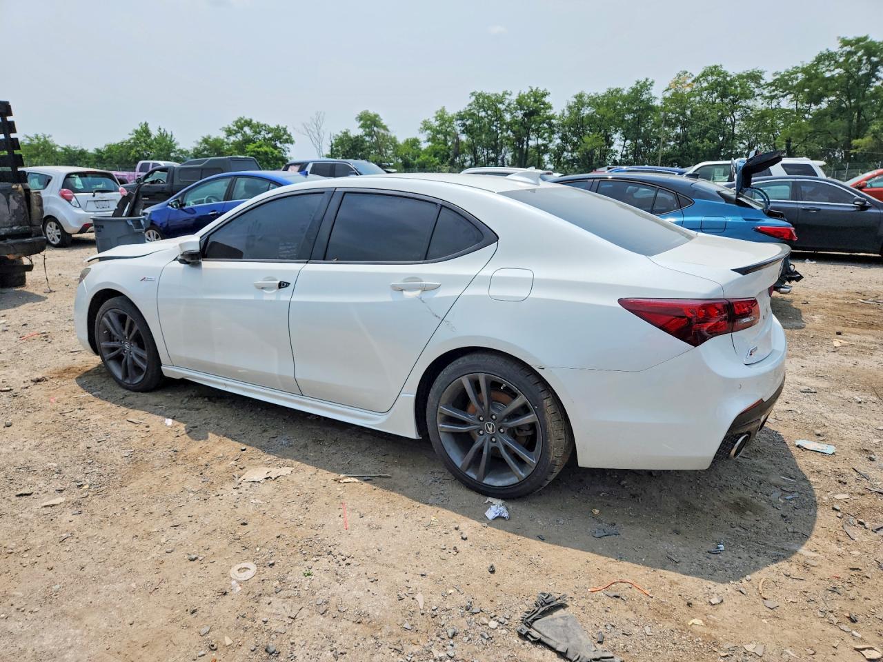 2019 ACURA TLX TECHNOLOGY/A-SPEC — снимка 2