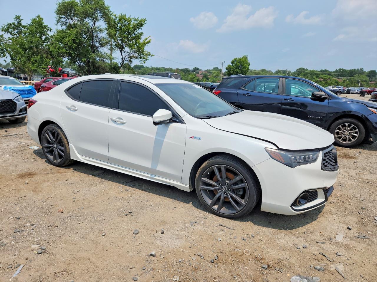 2019 ACURA TLX TECHNOLOGY/A-SPEC — снимка 4