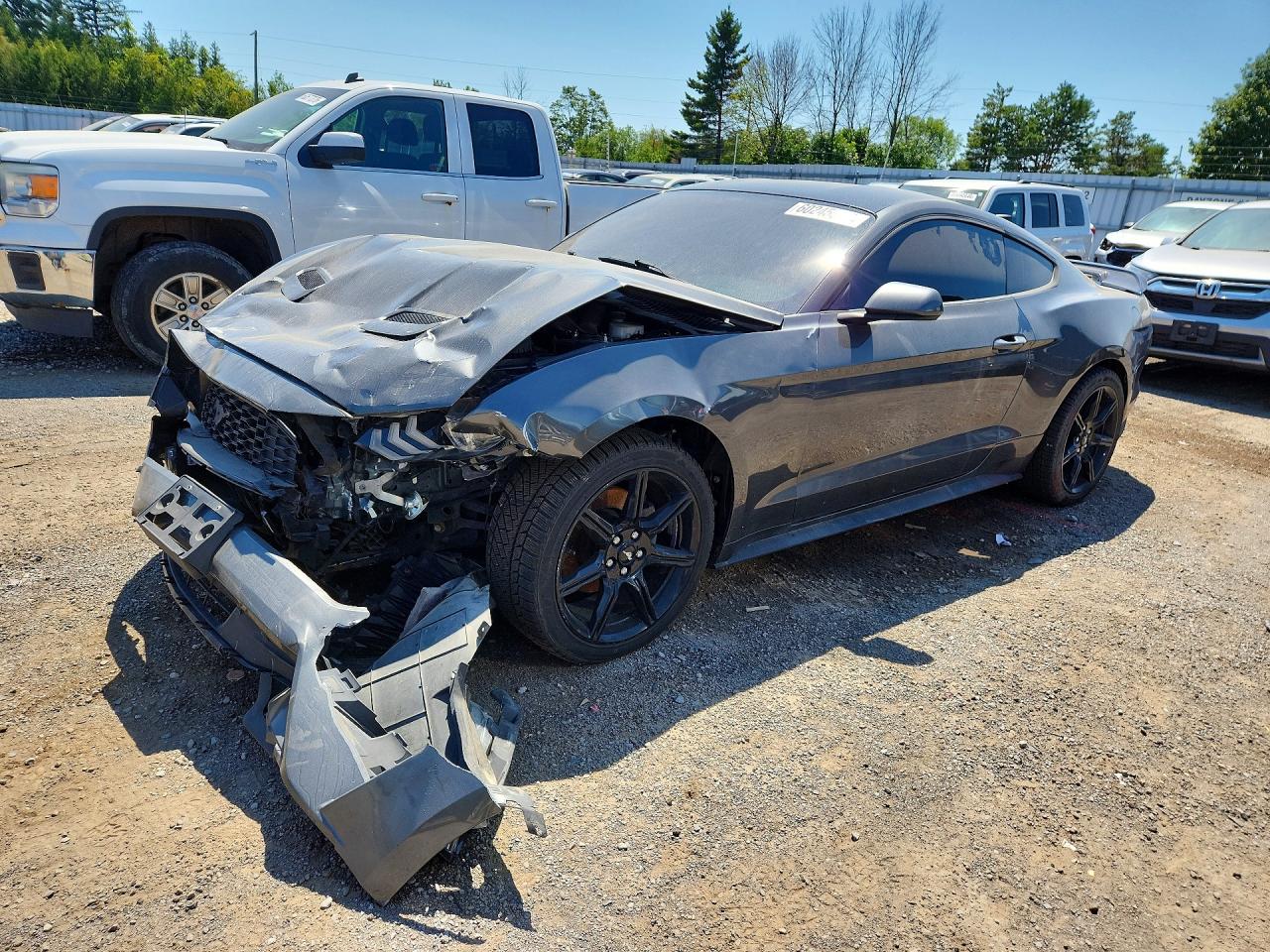 2019 FORD MUSTANG