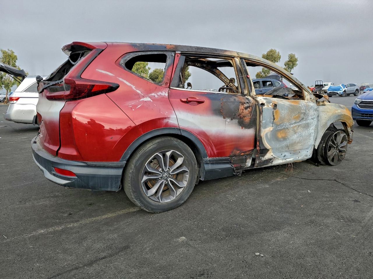 2021 HONDA CR-V EX — снимка 3