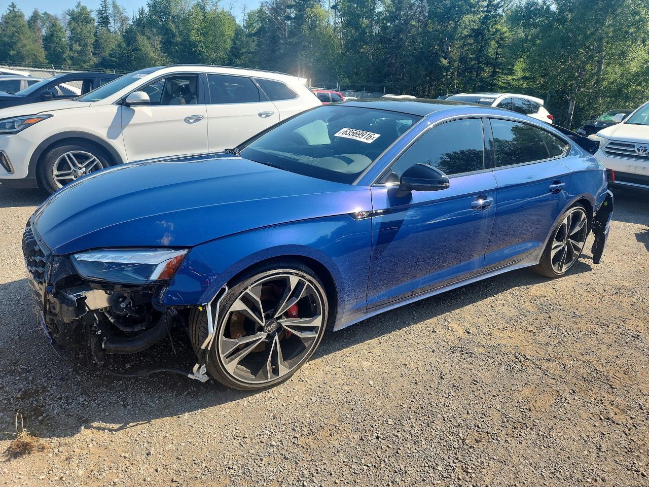 2025 AUDI S5 PRESTIGE