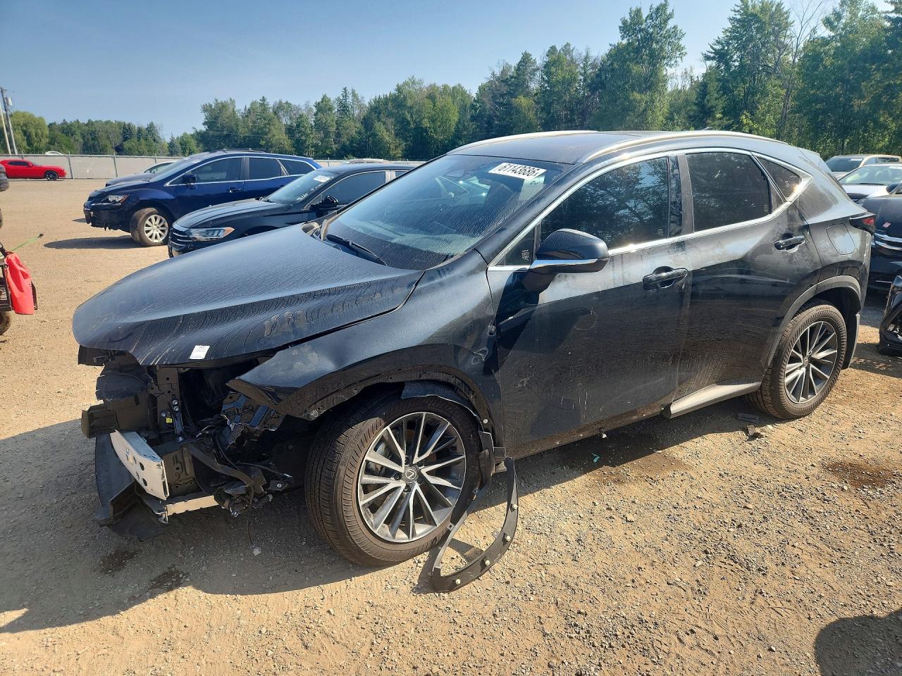 2026 LEXUS NX 450H LUXURY