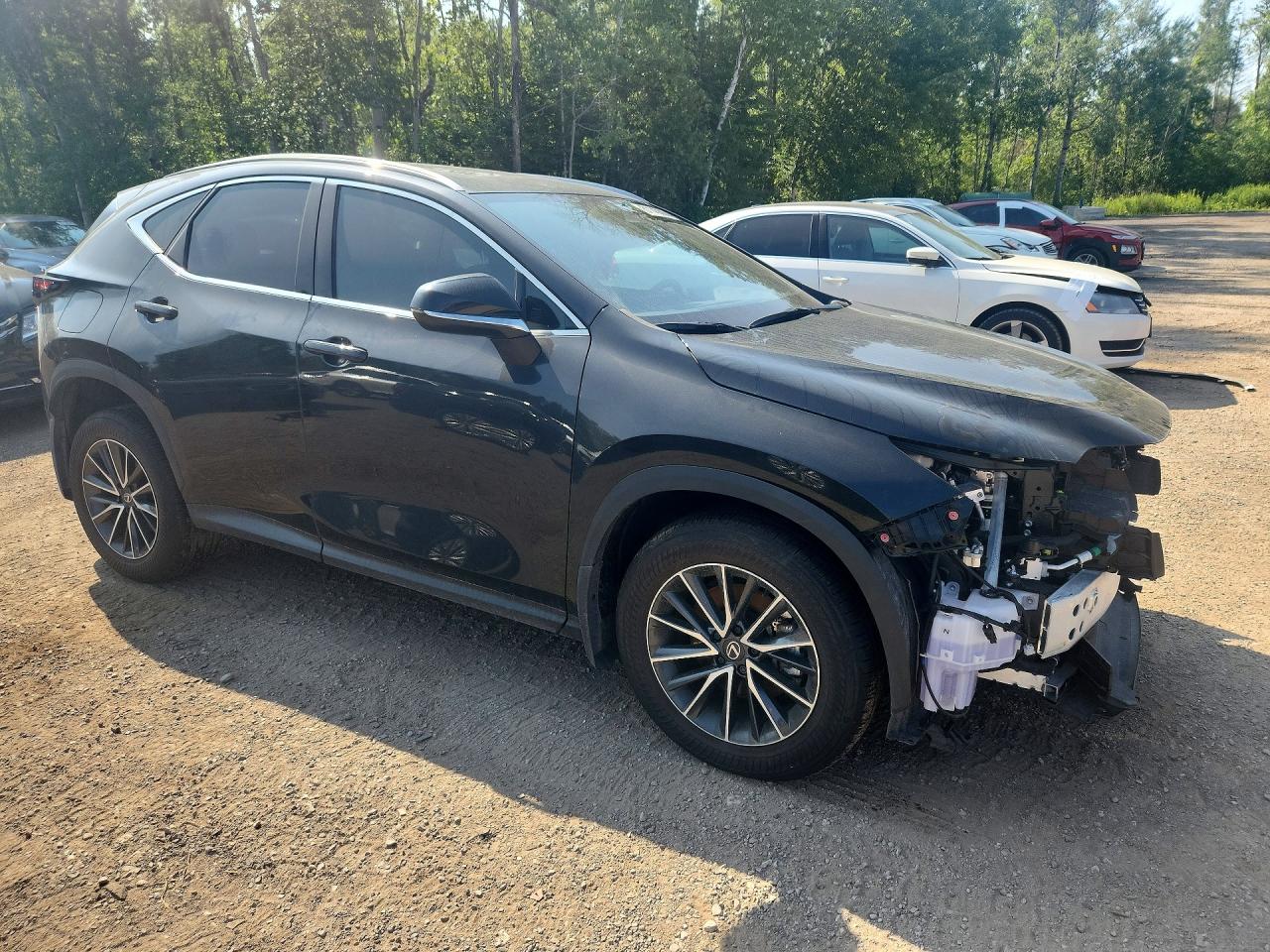 2026 LEXUS NX 450H LUXURY — снимка 4