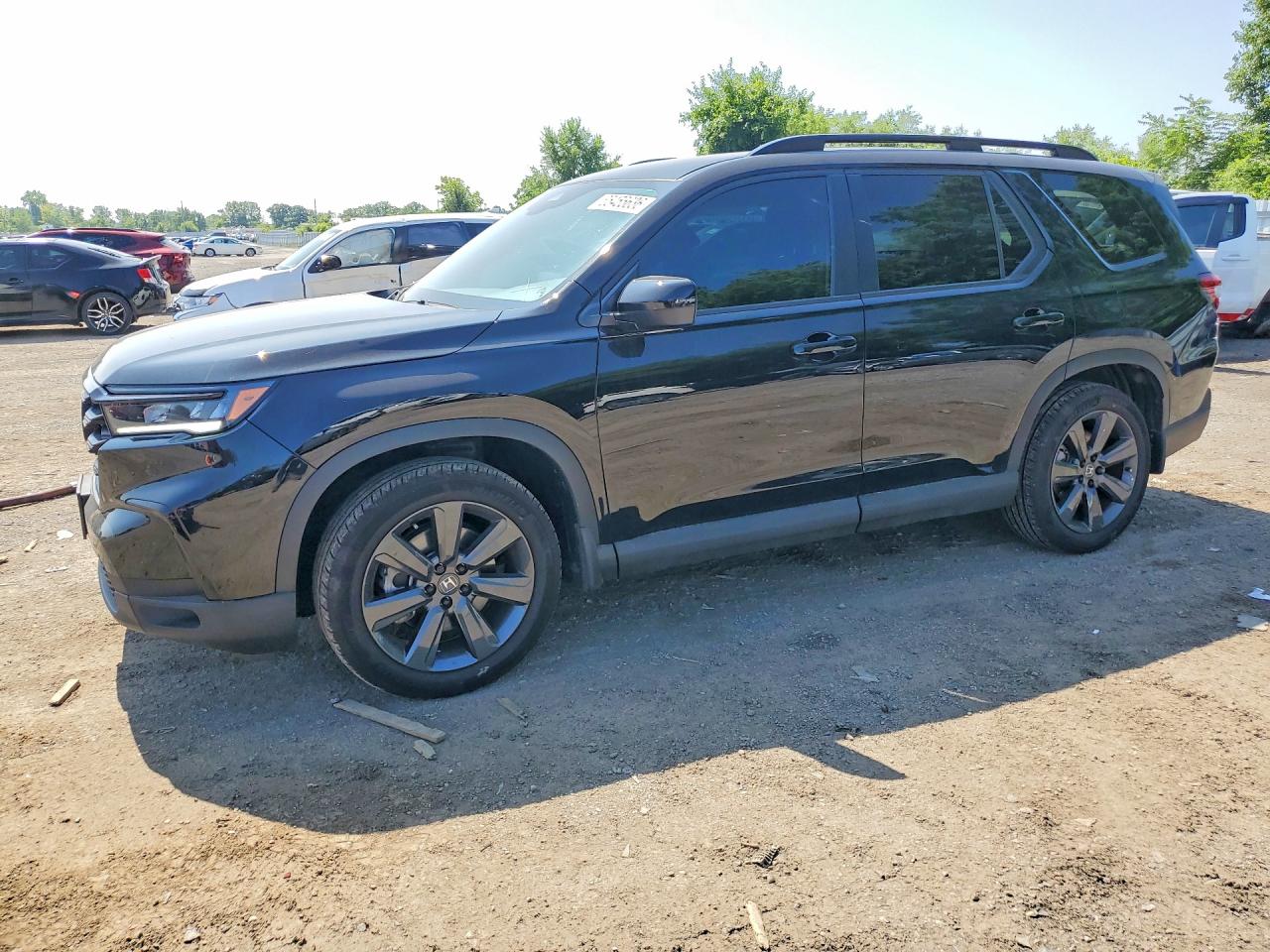 2025 HONDA PILOT SPORT
