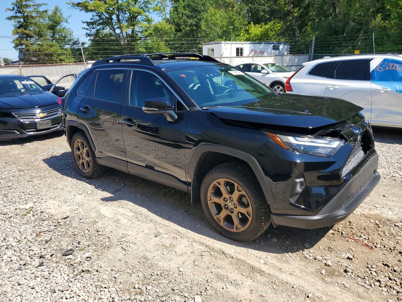 2023 TOYOTA RAV4 WOODLAND EDITION — снимка 4