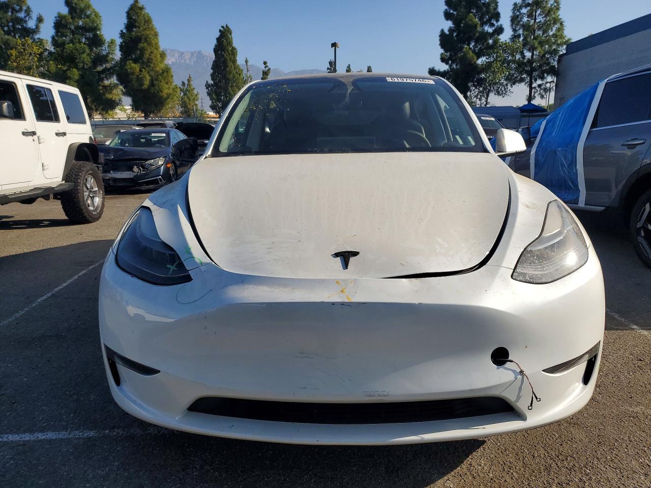 2023 TESLA MODEL Y — снимка 5