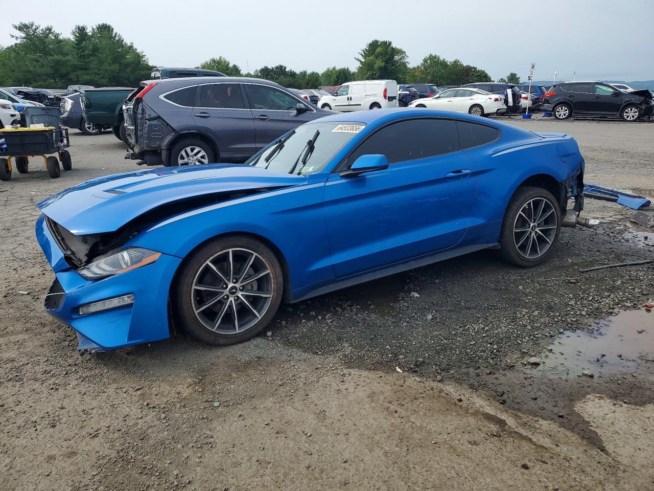 2019 FORD MUSTANG