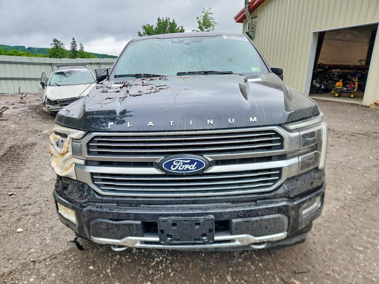 2024 FORD F150 PLATINUM — снимка 5