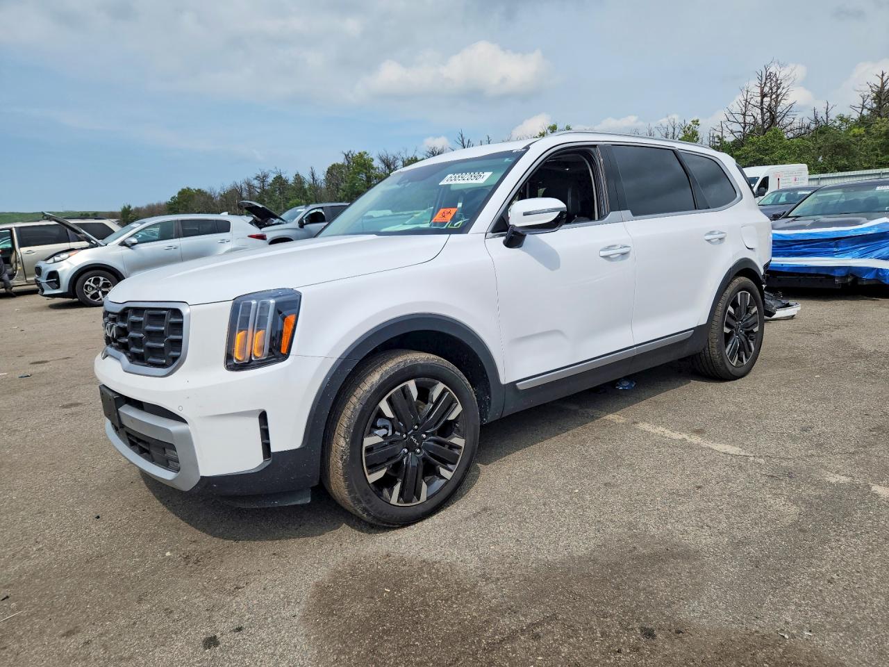 2024 KIA TELLURIDE SX