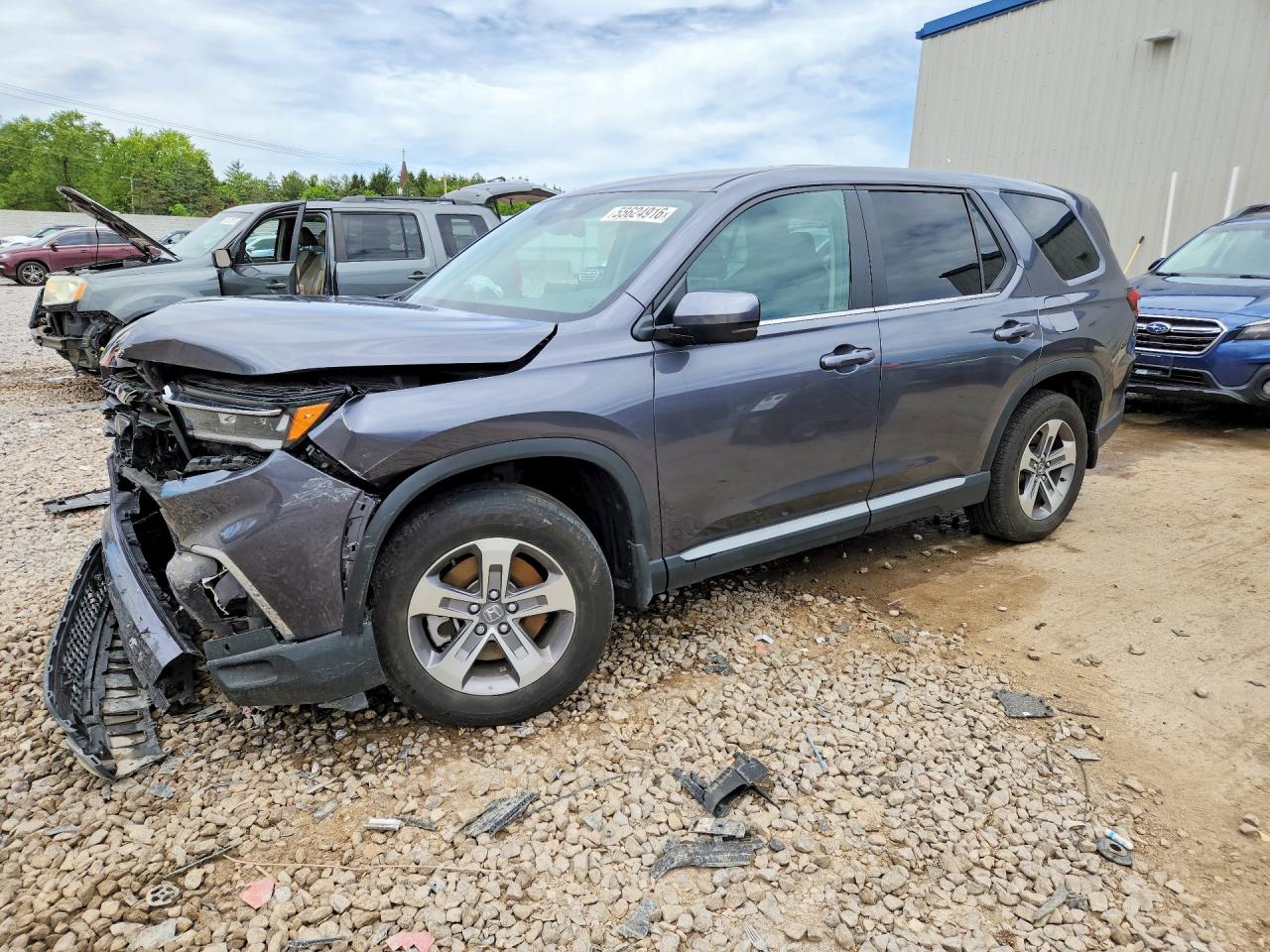 2025 HONDA PILOT EXL