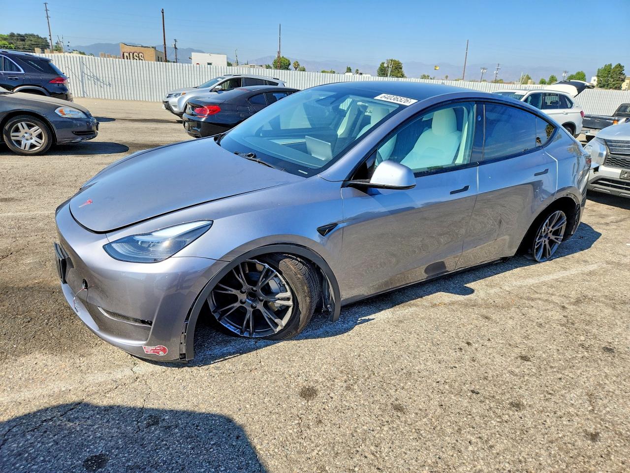 2025 TESLA MODEL Y