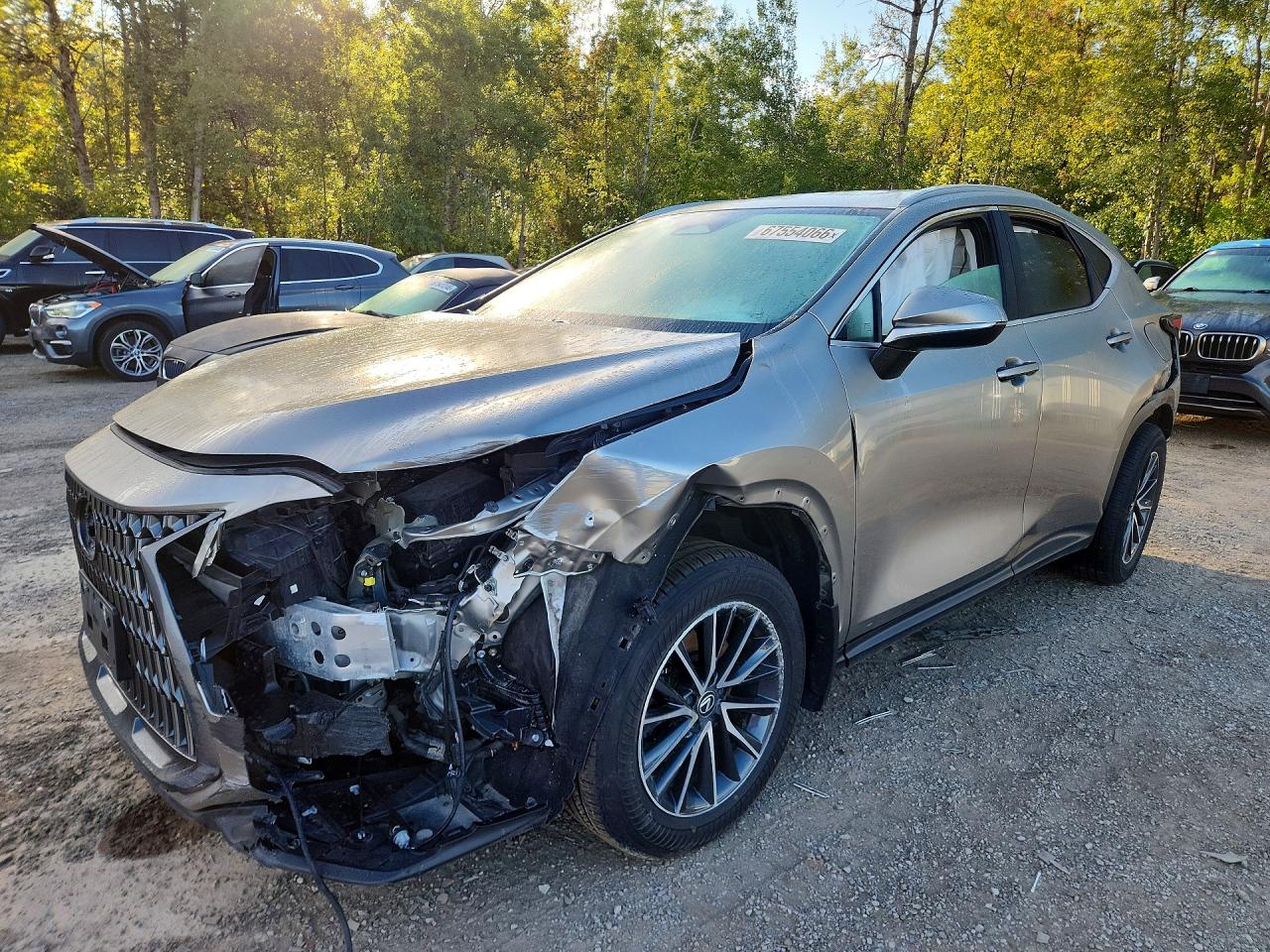 2024 LEXUS NX 350H BASE