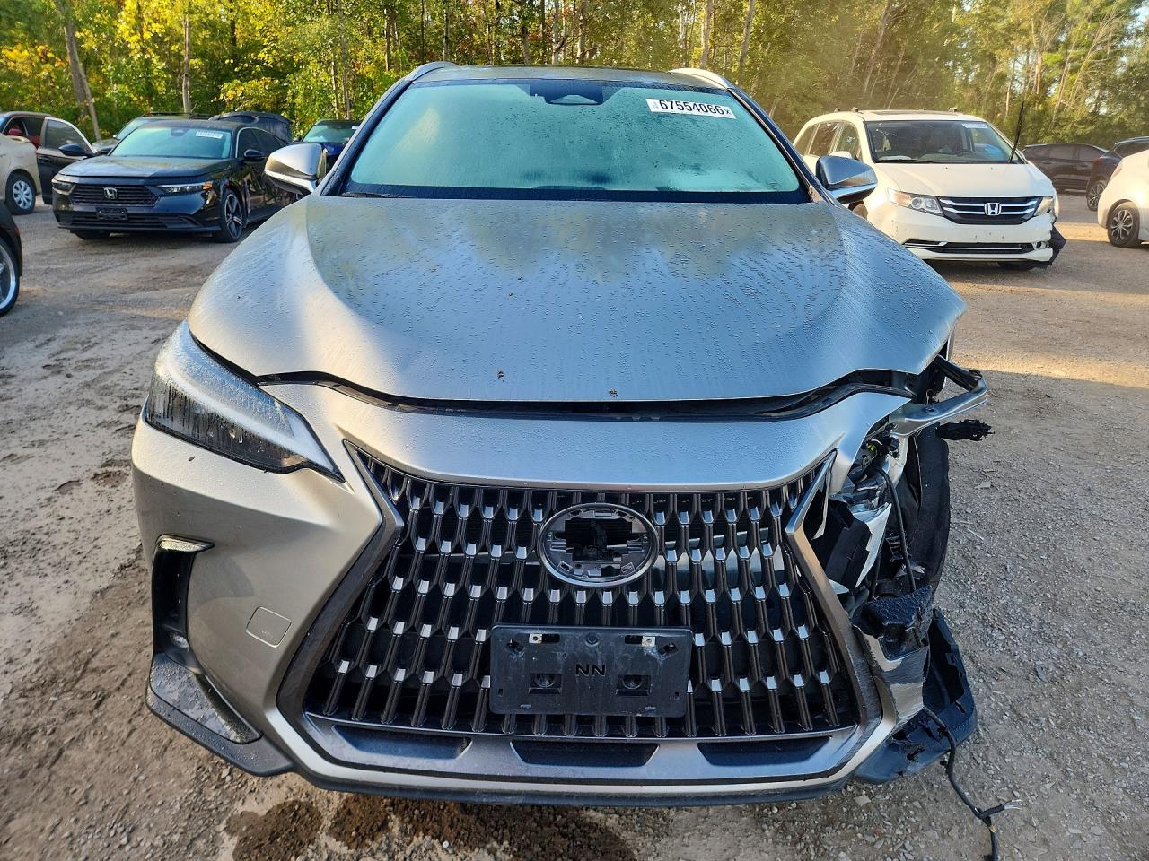 2024 LEXUS NX 350H BASE — снимка 5
