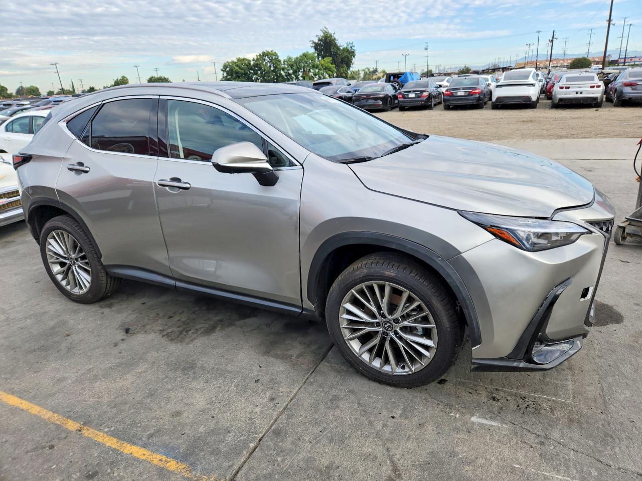 2026 LEXUS NX 350H LUXURY — снимка 4