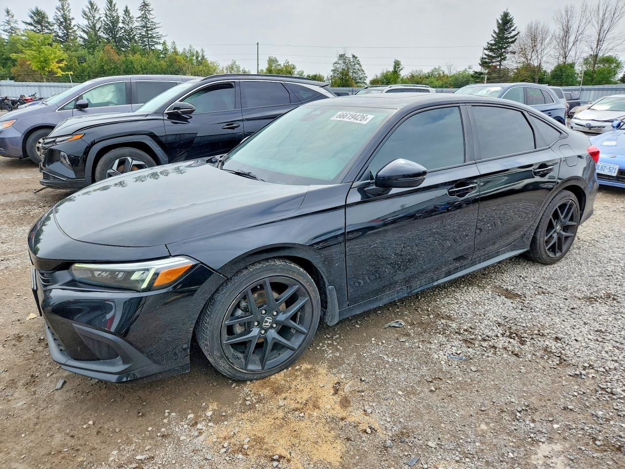 2024 HONDA CIVIC SPORT