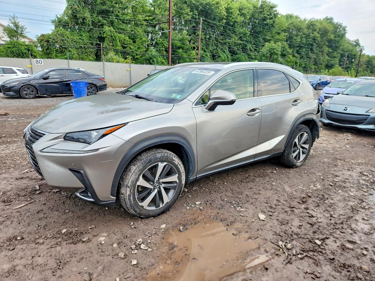 2019 LEXUS NX 300 BASE