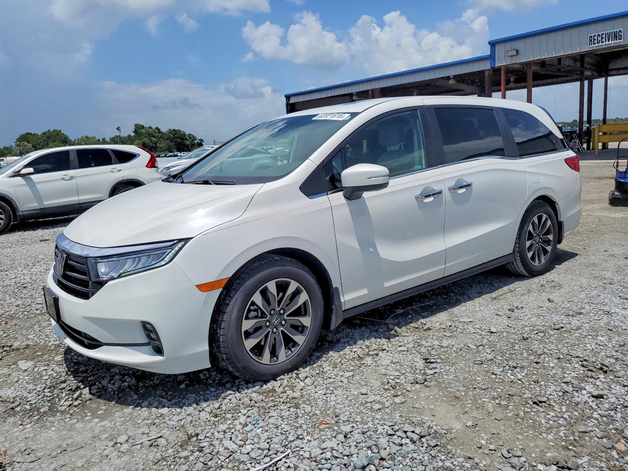 2024 HONDA ODYSSEY EXL