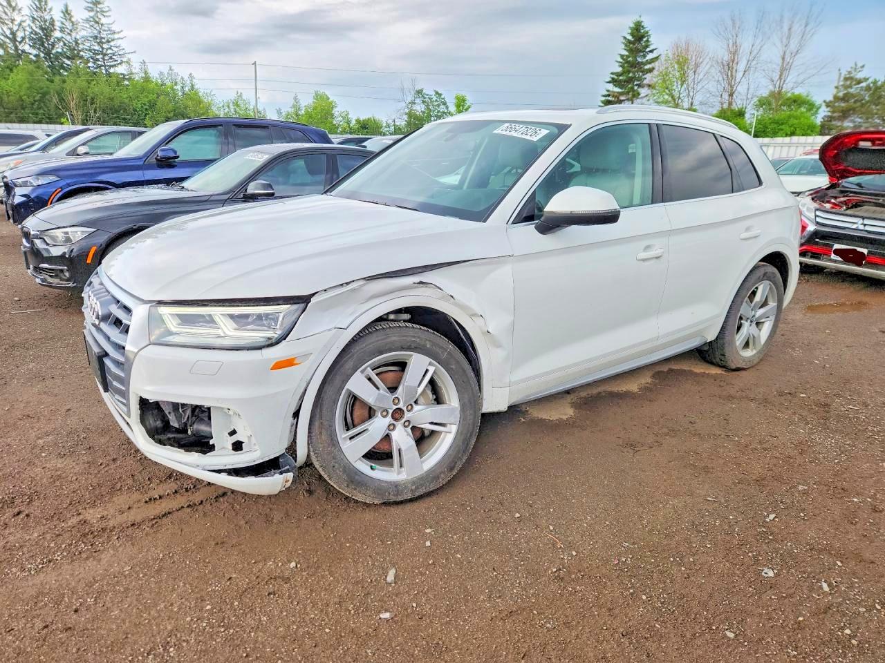 2019 AUDI Q5 PRESTIGE