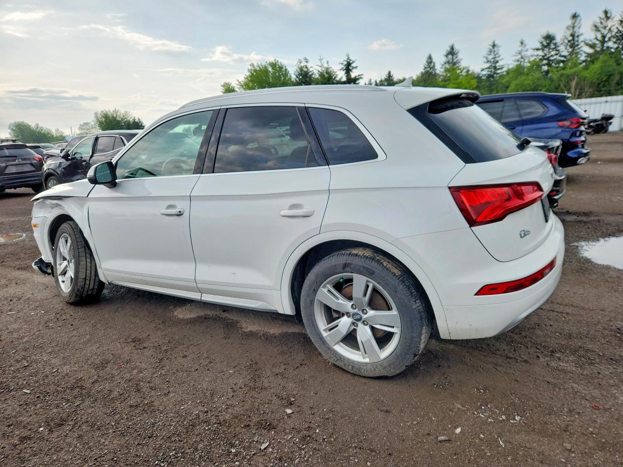 2019 AUDI Q5 PRESTIGE — снимка 3