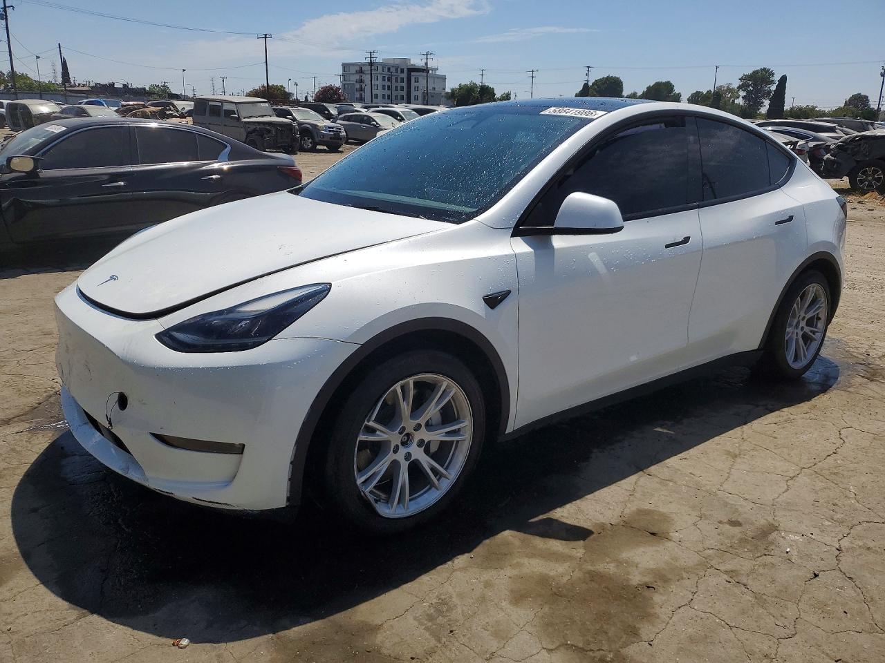 2024 TESLA MODEL Y