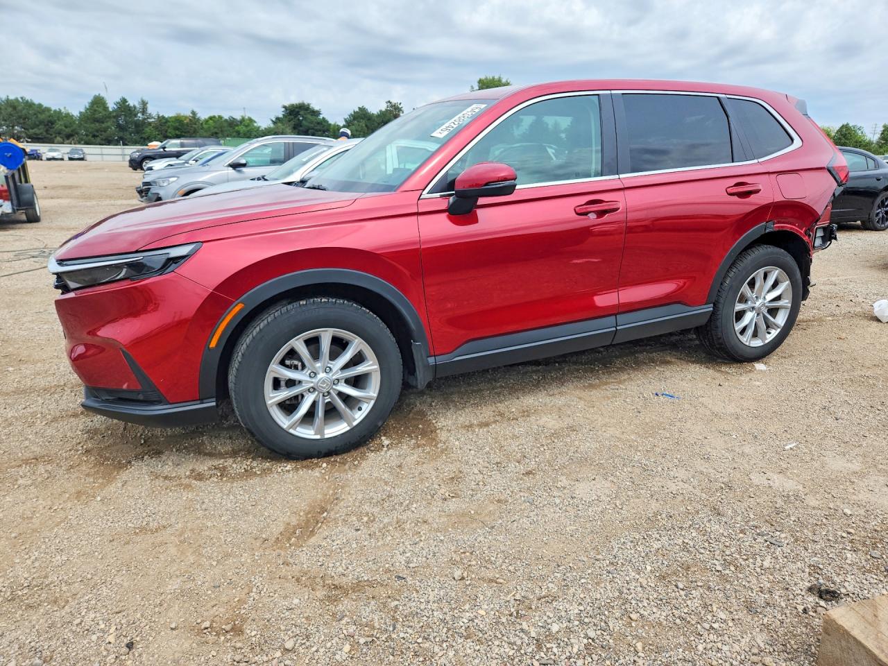 2025 HONDA CR-V EXL