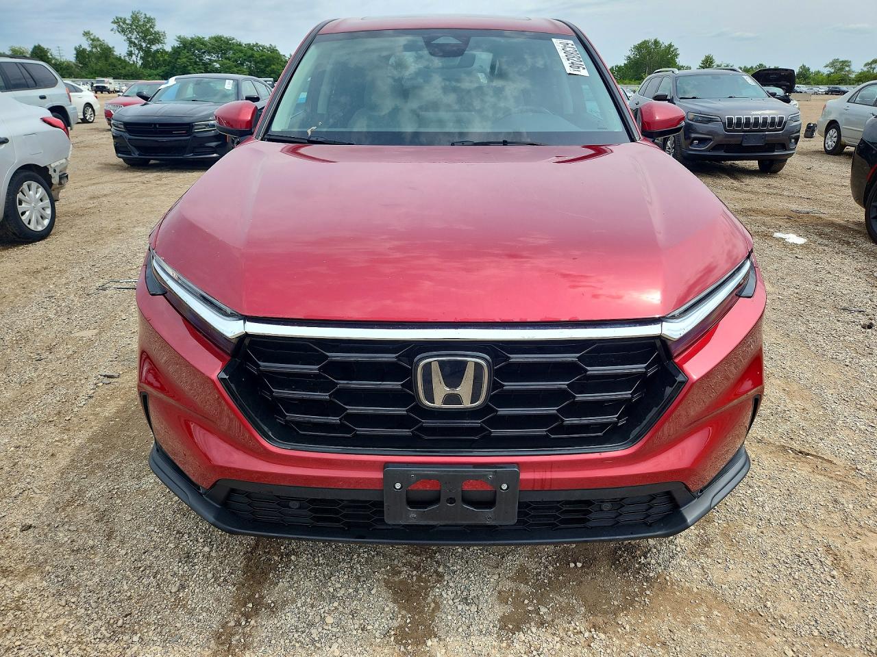 2025 HONDA CR-V EXL — снимка 5