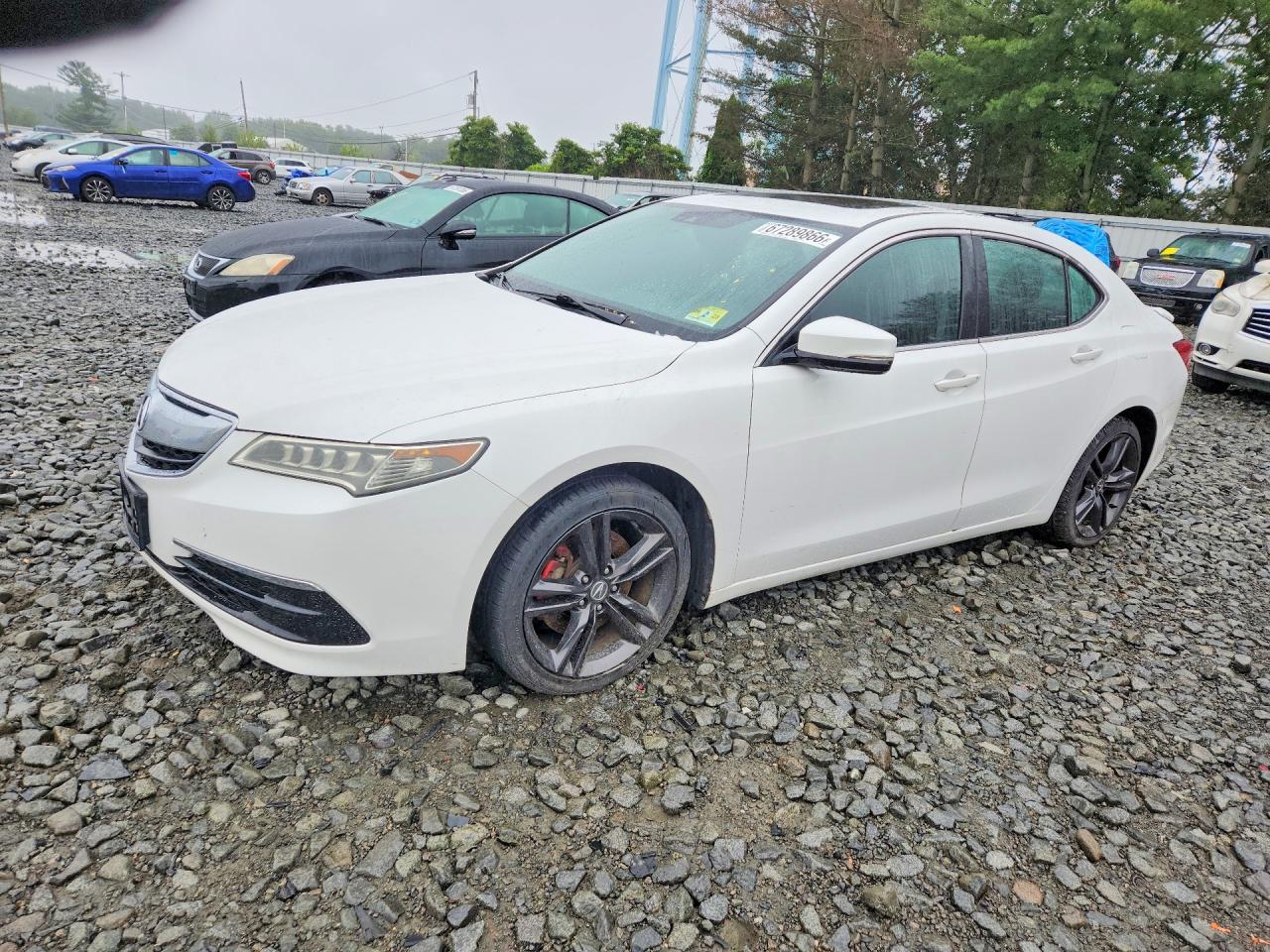 2015 ACURA TLX TECH