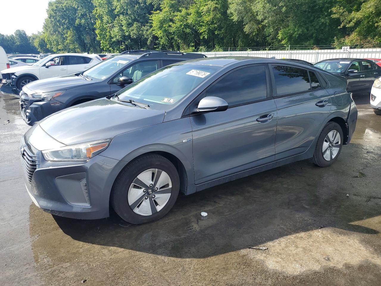 2019 HYUNDAI IONIQ BLUE