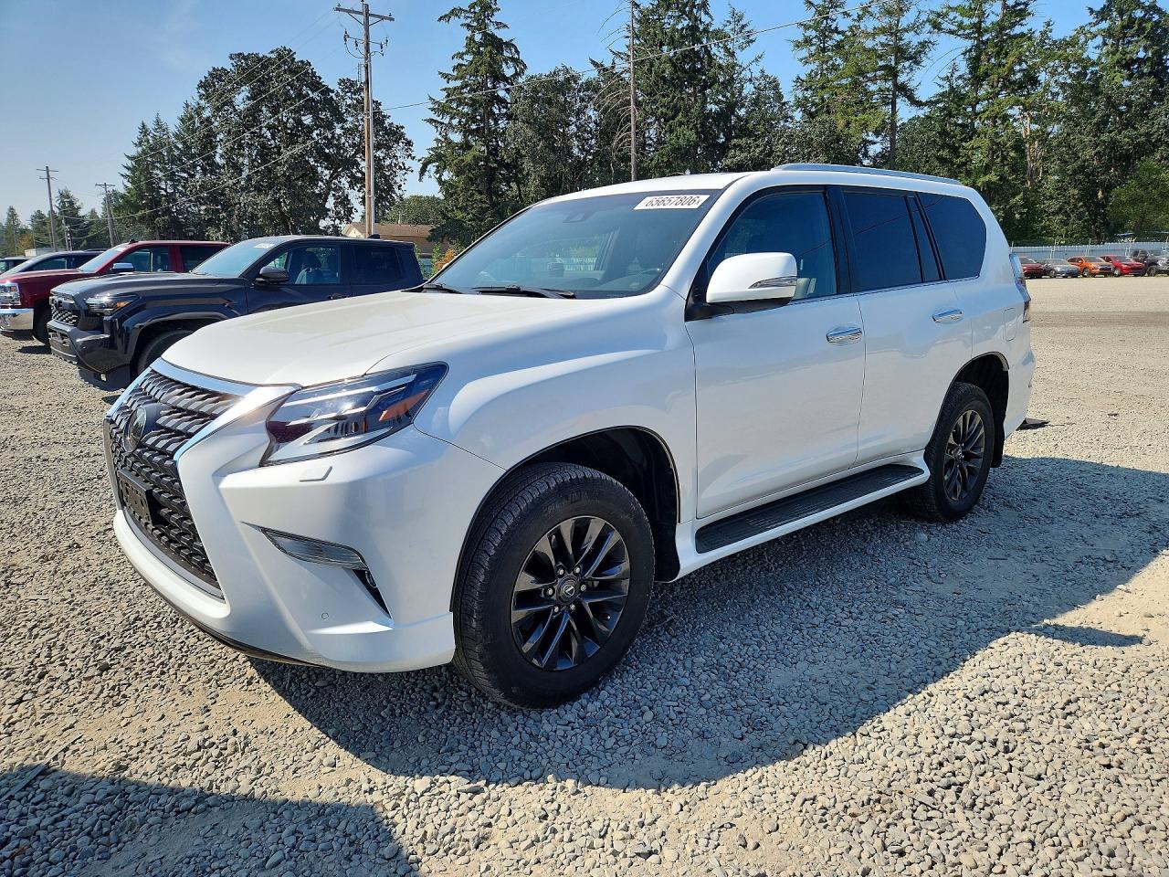 2022 LEXUS GX 460