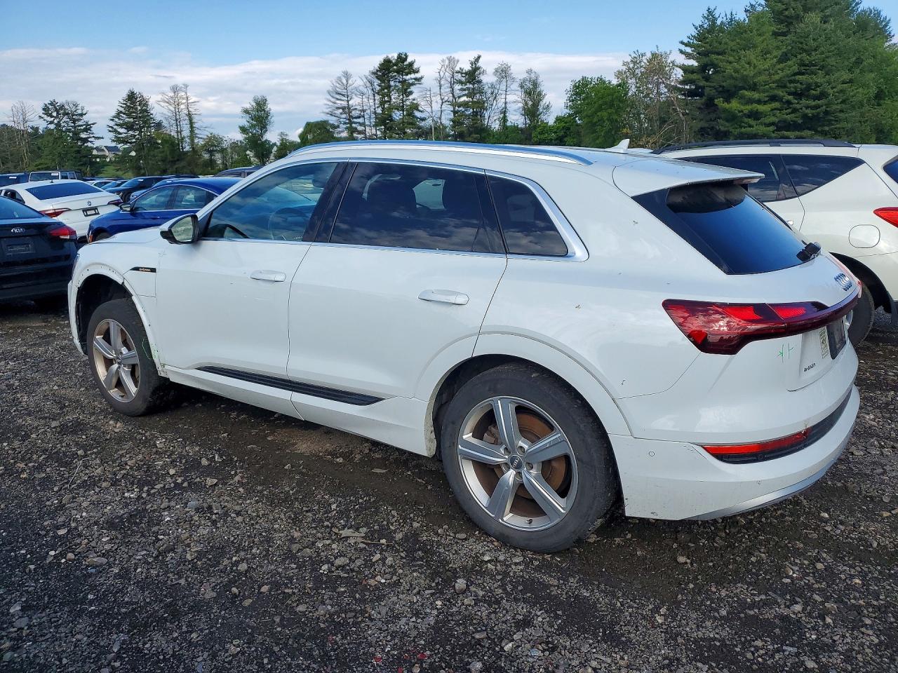 2019 AUDI E-TRON PRESTIGE — снимка 2