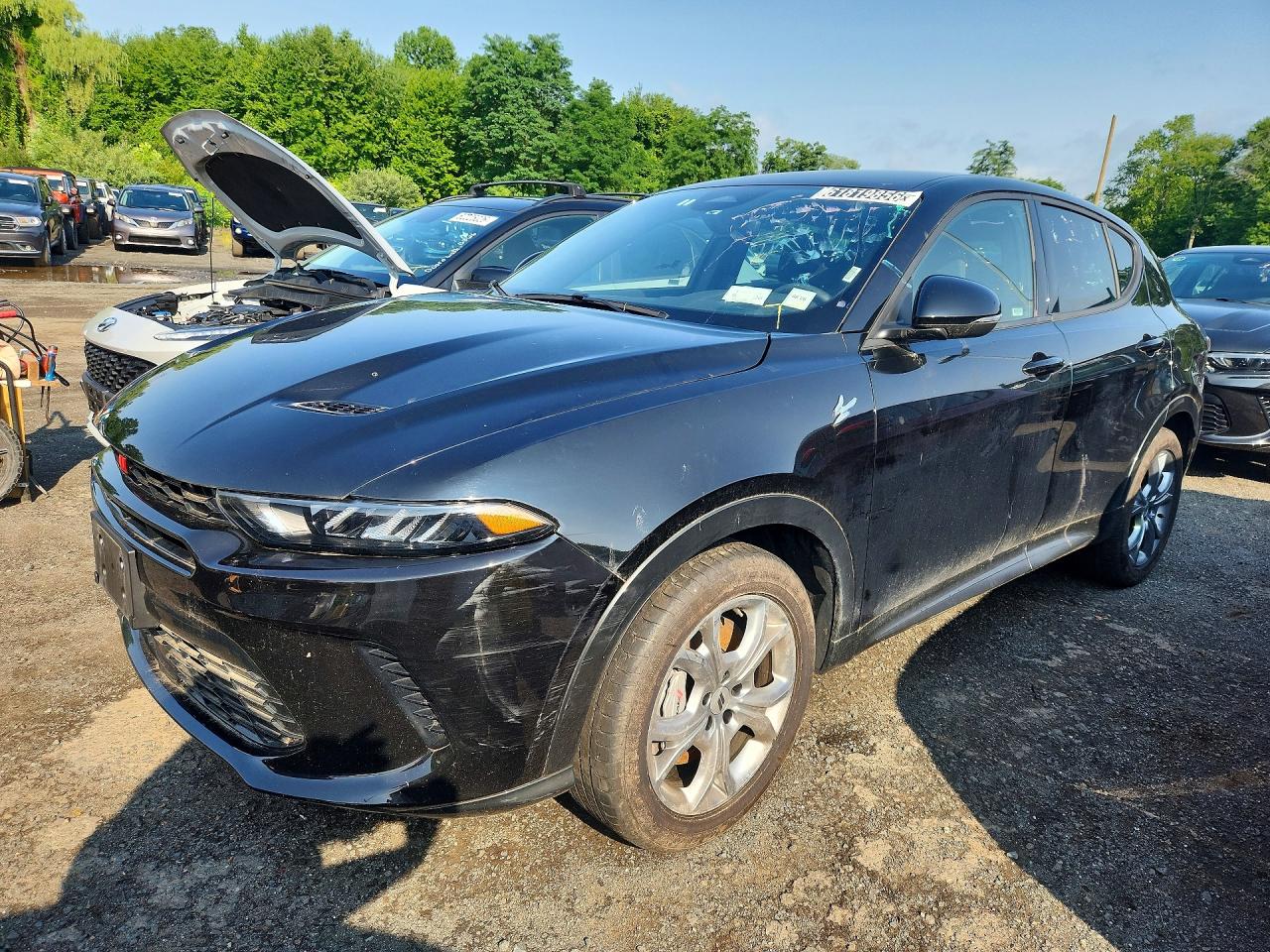 2024 DODGE HORNET R/T